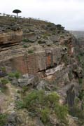 Pohledy do krajiny na planin� Dixam. Ostrov Socotra (Suqutra). Jemen.