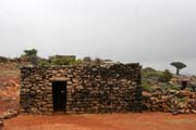 Typick� kamenn� dome�ek ve vnitrozem� ostrova Socotra (Suqutra). Jemen.