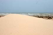 P�se�n� duny na ji�n�m pob�e�� ostrova Socotra (Suqutra). Jemen.