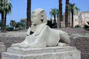 Luxorsk� chr�m. Egypt.