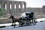Lok�ln� doprava v Luxoru. Egypt.