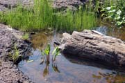 Vodop�dy Goosberry, North Shore, Minnesota. Spojen� st�ty americk�.