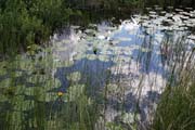 Oblast North Shore, Minnesota. Spojen� st�ty americk�.