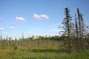 Oblast North Shore, Minnesota. Spojen� st�ty americk�.