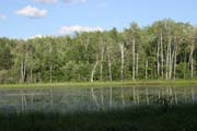 Oblast North Shore, Minnesota. Spojen� st�ty americk�.