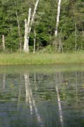 Oblast North Shore, Minnesota. Spojen� st�ty americk�.
