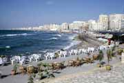 Pl� v Alexandrii. Egypt.