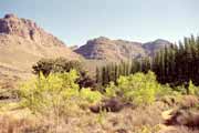 Rezervace Cederberg. Jihoafrick� republika.