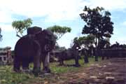 Kr�lovsk� hrobky Thieu Tri u Hue. Vietnam.