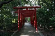 Svatyn� ve m�st� Fukuoka. Japonsko.
