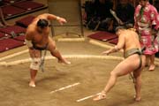 Z�pas sumo b�hem turnaje sumo. Tokio. Japonsko.