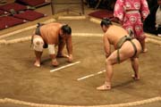 Z�pas sumo b�hem turnaje sumo. Tokio. Japonsko.