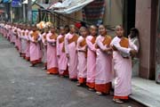 Mlad� mni�ky, Yangon. Myanmar (Barma).