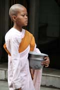 Mlad� mni�ka, Yangon. Myanmar (Barma).