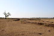 Zbytky staveb star�ch ���, okol� Mrauk U. Myanmar (Barma).