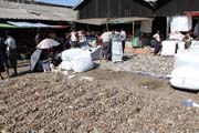 Su�en� rybi - ryb� trh ve m�st� Sittwe. Myanmar (Barma).