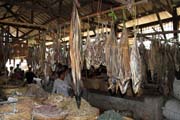 Su�en� rybi - ryb� trh ve m�st� Sittwe. Myanmar (Barma).