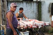 Rann� trh, Camaguey. Kuba.