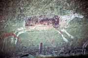 Kresby Bushman�, Royal Natal N�rodn� park, Drakensberg. Jihoafrick� republika.