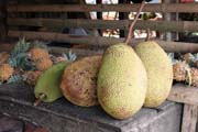 �akie �i chlebovn�k (anglicky jackfruit), trh ve vesnici Tomohon. Sulawesi, Indon�sie.
