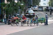 Rik��ci (becak) Surabaya. Indon�sie.