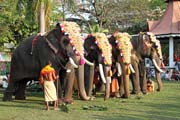 Pakalpooram (proces� slon�), Ernakulam Shiva Temple Festival (Ernakulathappan Uthsavam). Ernakulam, Kerala. Indie.