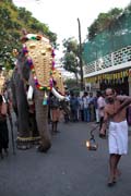 Pakalpooram (proces� slon�) pokra�uje na ulici Durban Hall Rd, Ernakulam Shiva Temple Festival (Ernakulathappan Uthsavam). Ernakulam, Kerala. Indie.