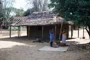 Drcen� r��e, vesnice Antsiraraka. Madagaskar.