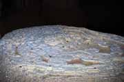 V�pencov� k�men, jeskyn� Grotte des Chauves-Souris, l'Ankarana N�rodn� park. Madagaskar.