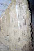 V�pencov� �tvary, jeskyn� Grotte des Chauves-Souris, l'Ankarana N�rodn� park. Madagaskar.