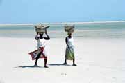 Prodava�ky ryb v Morondav� na pl�i. Madagaskar.