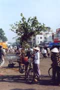 Ran� trh v Saigonu. Vietnam.